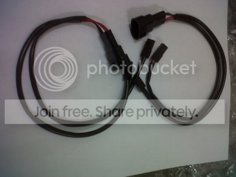 IMG00405-20110606-0602.jpg