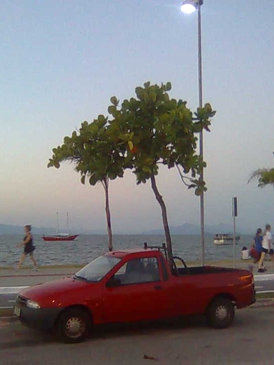 Imagem1106.jpg