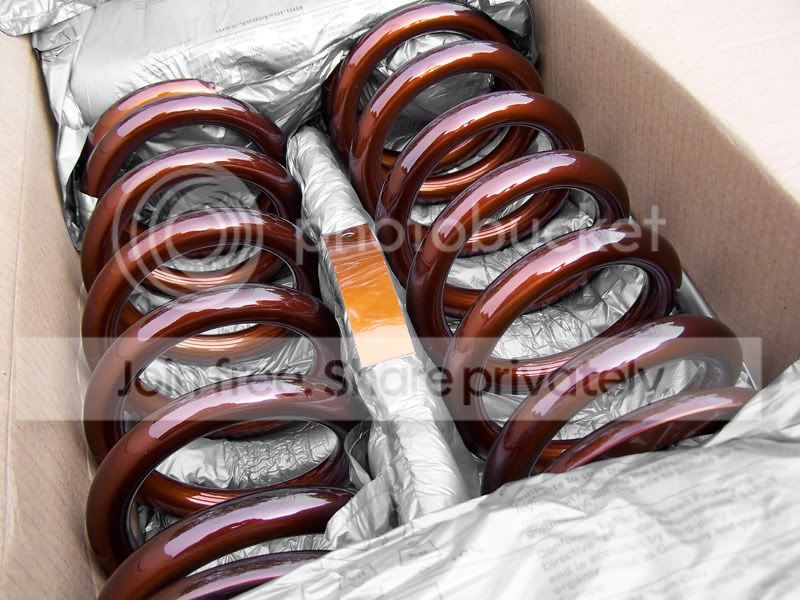 csprings_copper3.jpg