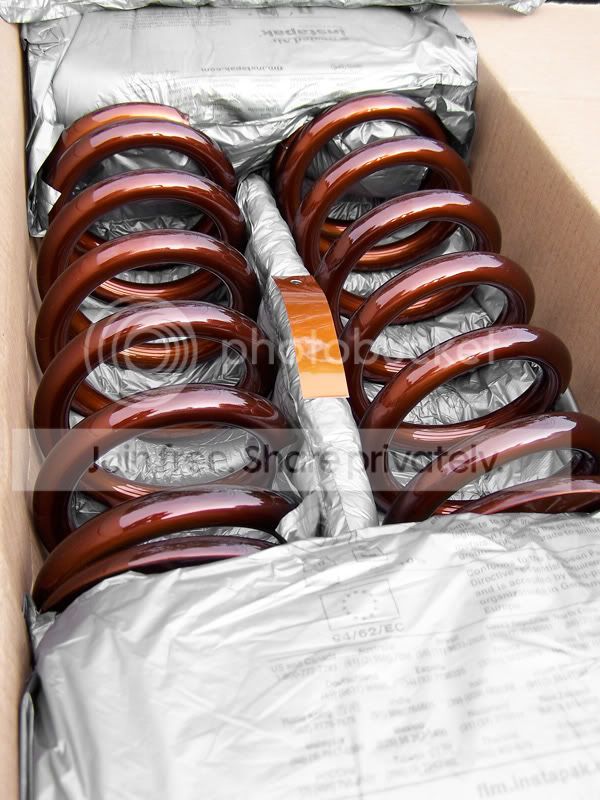 csprings_copper4.jpg