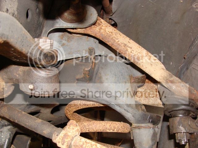 DSC08350_zps81d5f5b9.jpg