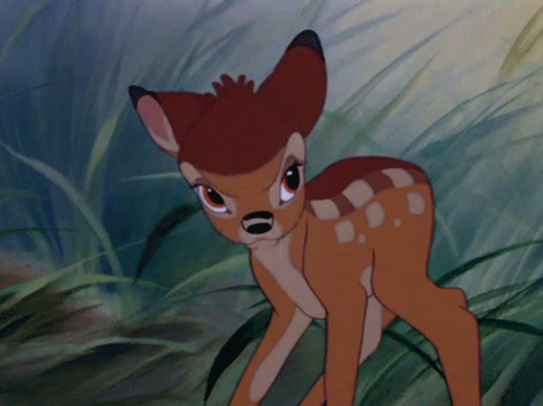 tumblr_lzyqdpiU3M1rodqedo1_500.gif