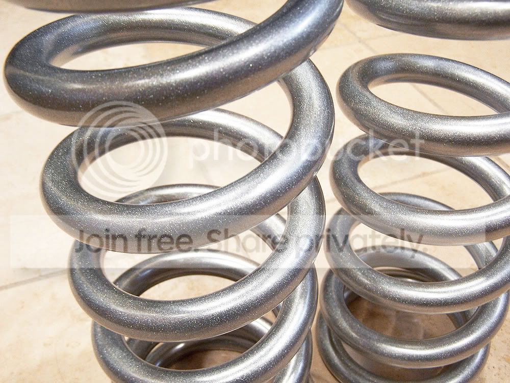 silver_springs3.jpg