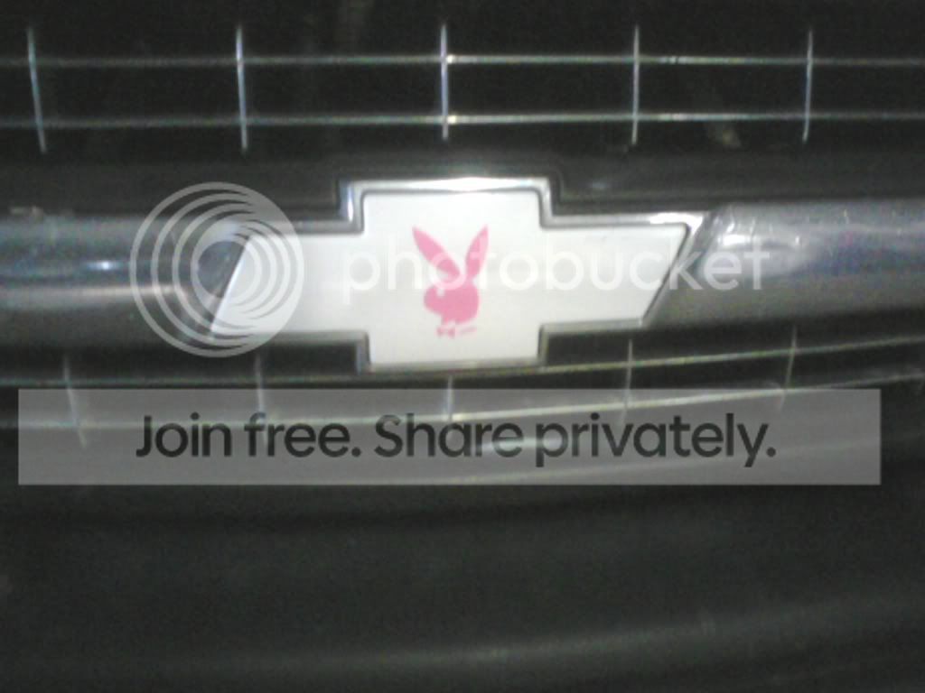 p_00233.jpg
