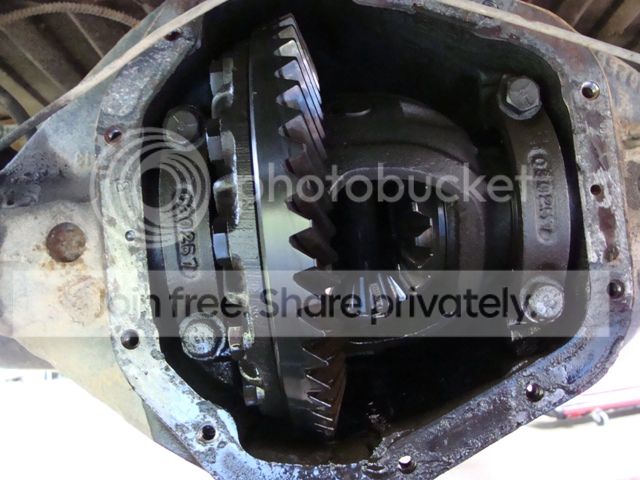 DSC08356_zpse0eda489.jpg