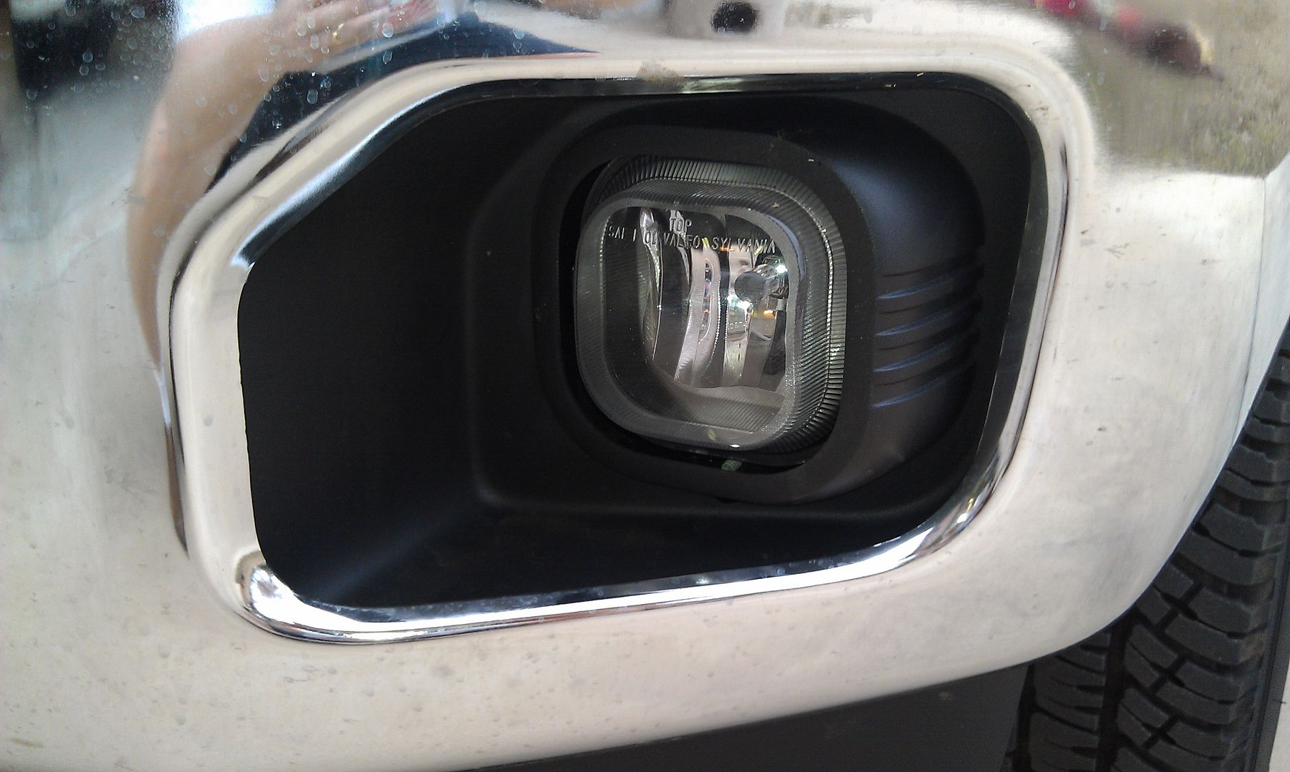 IMAG1056.jpg