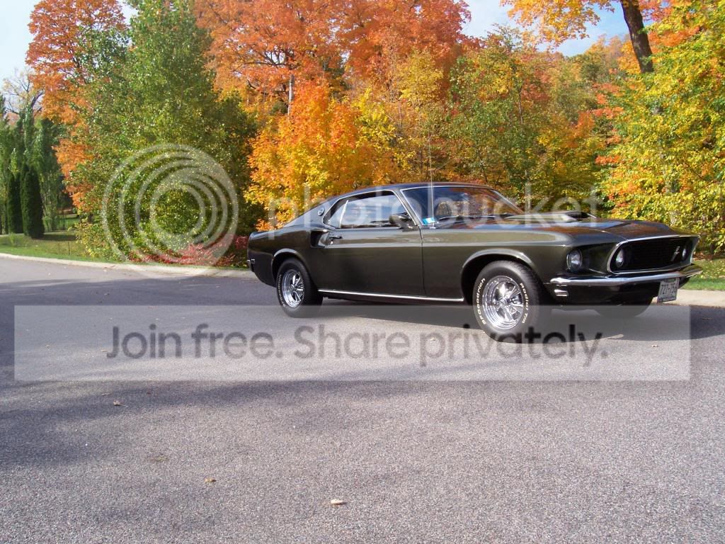 fallpics001.jpg