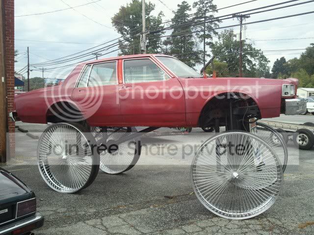 donk.jpg