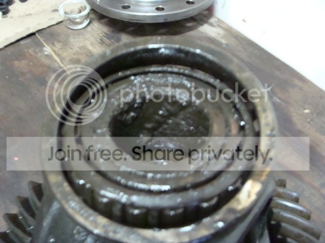 DSC08440_zpsa9cfd161.jpg