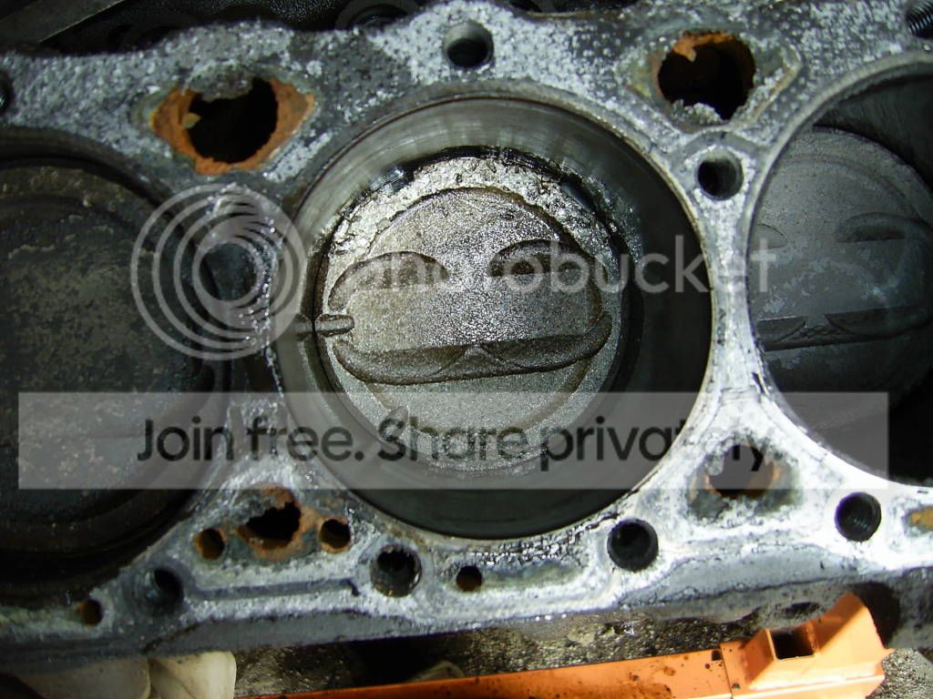 SA400019-7.jpg