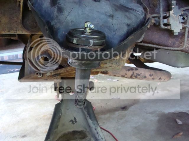 DSC08234_zps3208be65.jpg