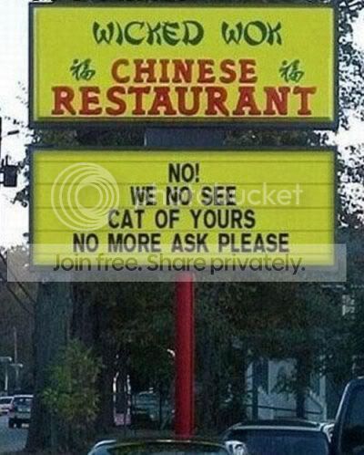 cat.jpg