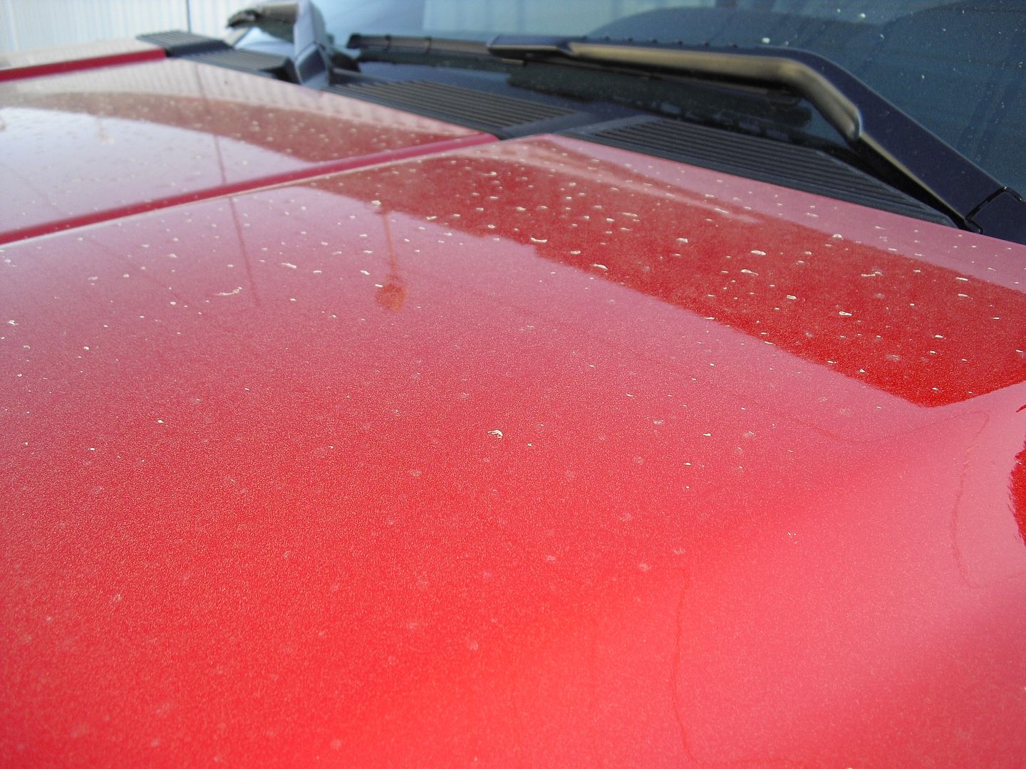 DirtyTruck004.jpg