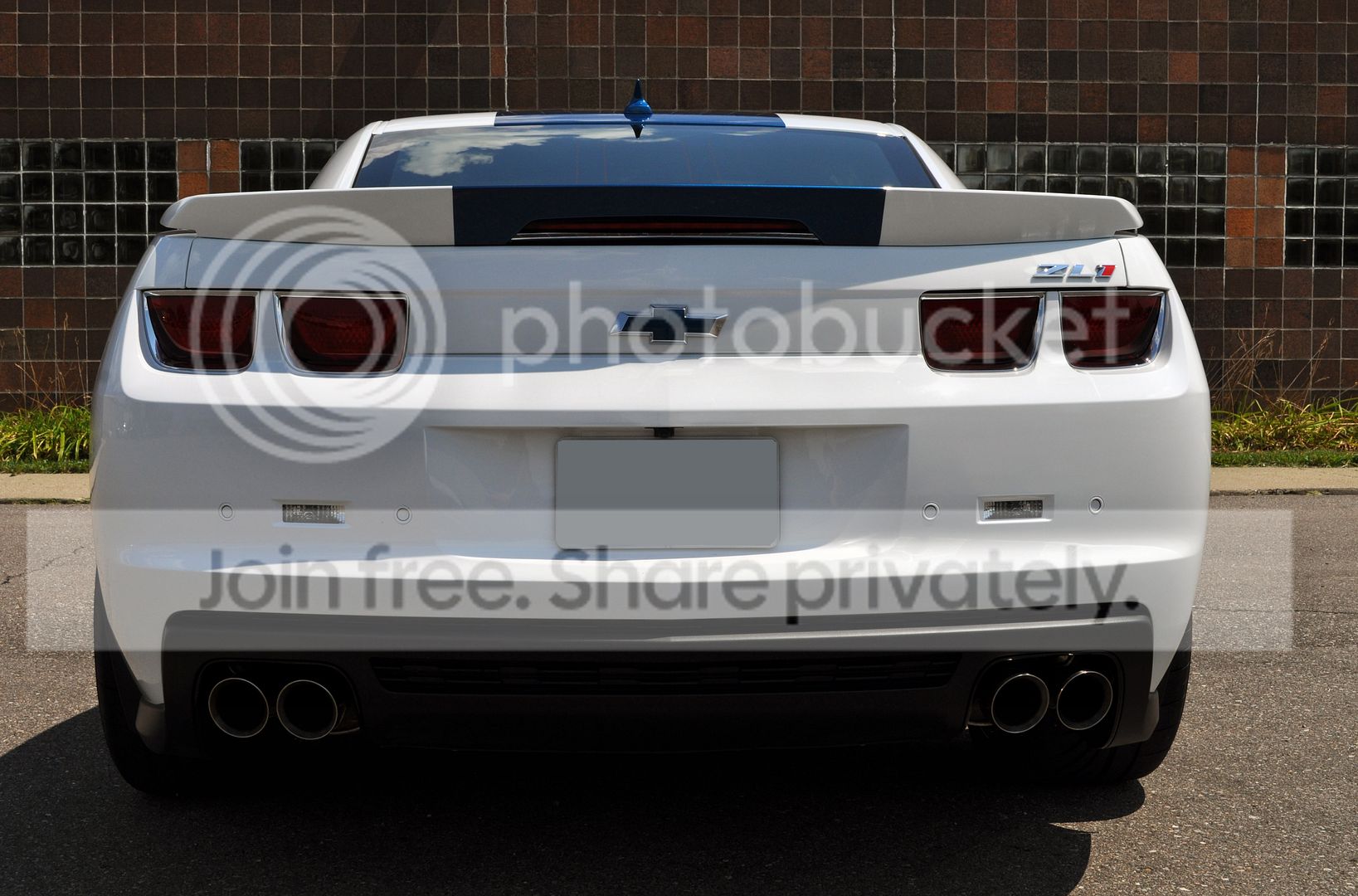 DSC_1434.jpg