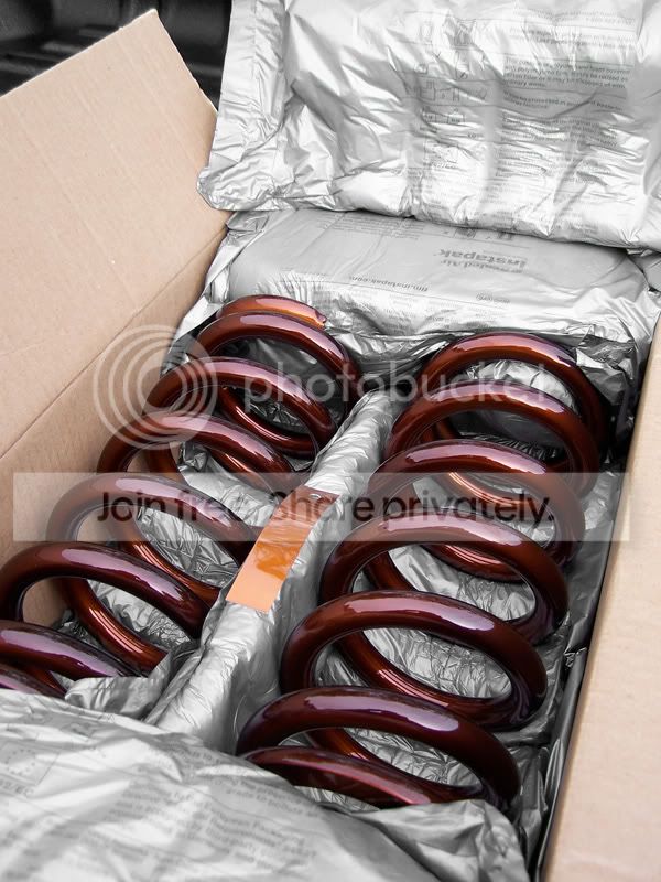 csprings_copper2.jpg