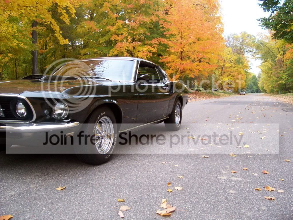fallpics005.jpg