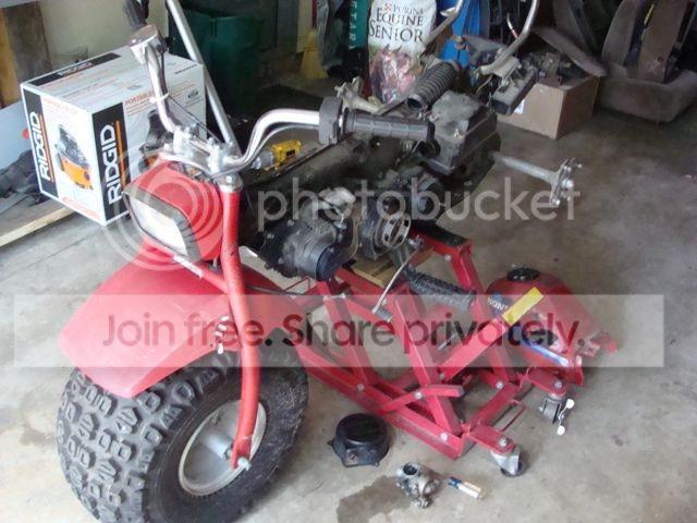 DSC06795.jpg