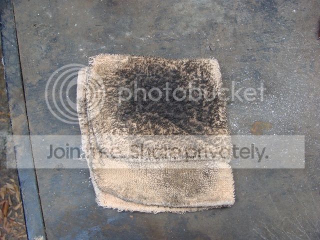 T2_zps315ef755.jpg