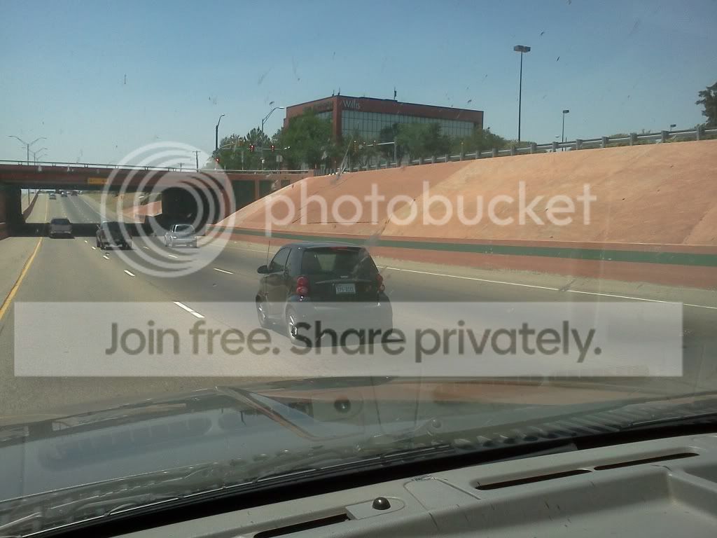 IMG_20110612_142630.jpg