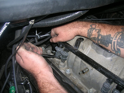 DSCN4214.JPG