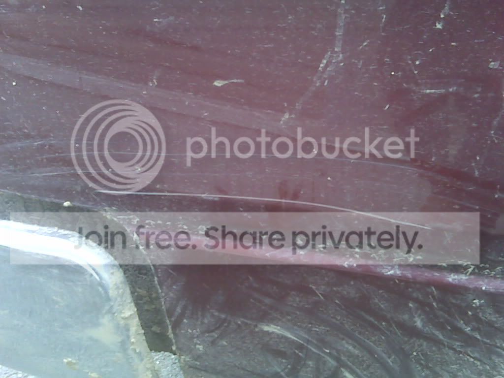 IMG00133-20101128-1137.jpg