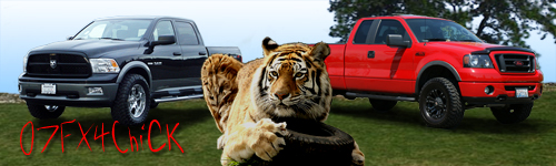 07FX4.jpg
