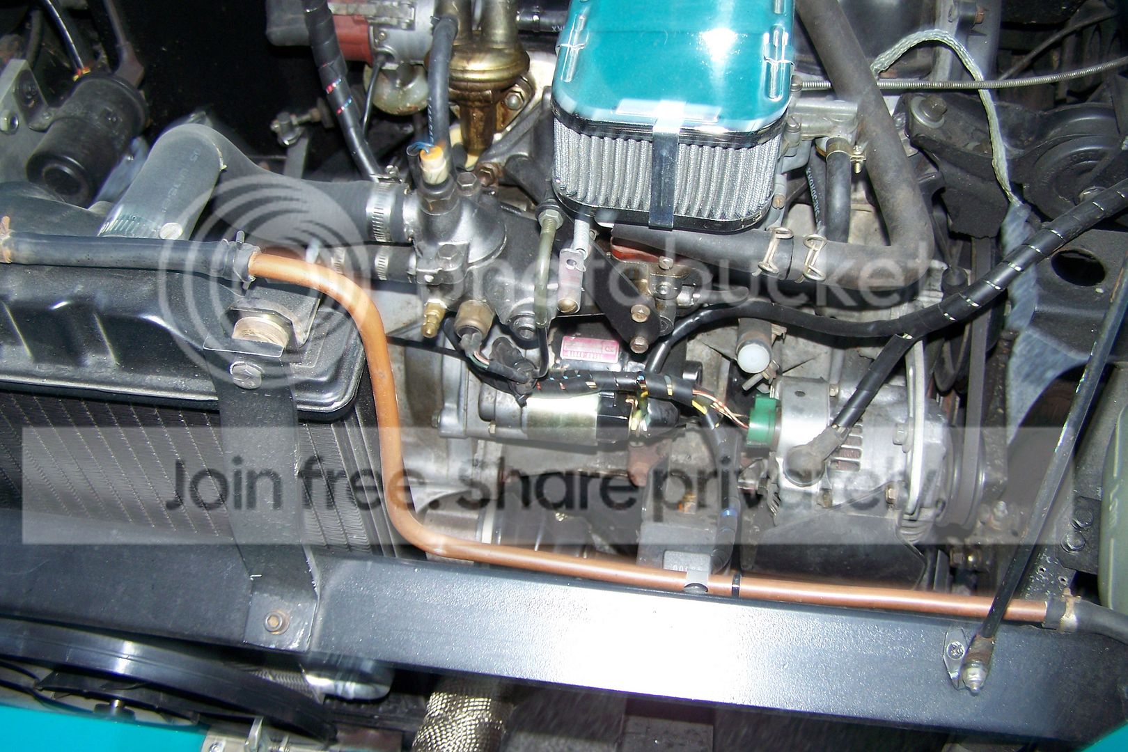 100_1988-Copy.jpg