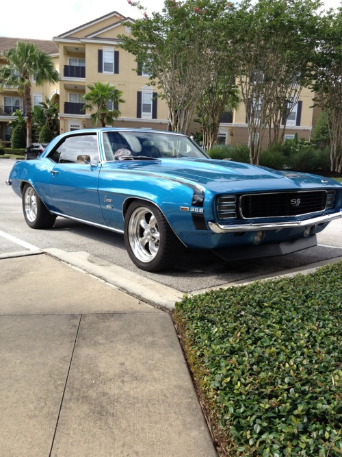 tumblr_mns9gt2wmp1st8510o1_500.jpg