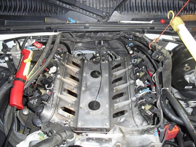 Radixinstall005.jpg