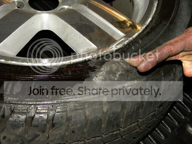 DSCN5729.jpg