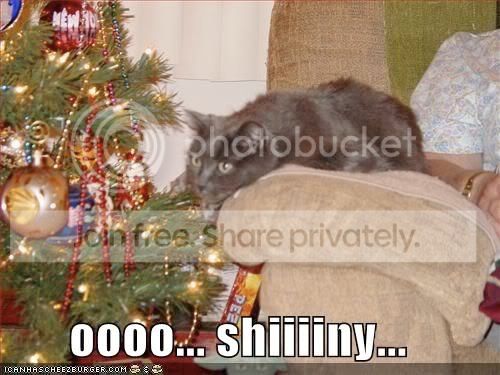 funny-pictures-shiny.jpg