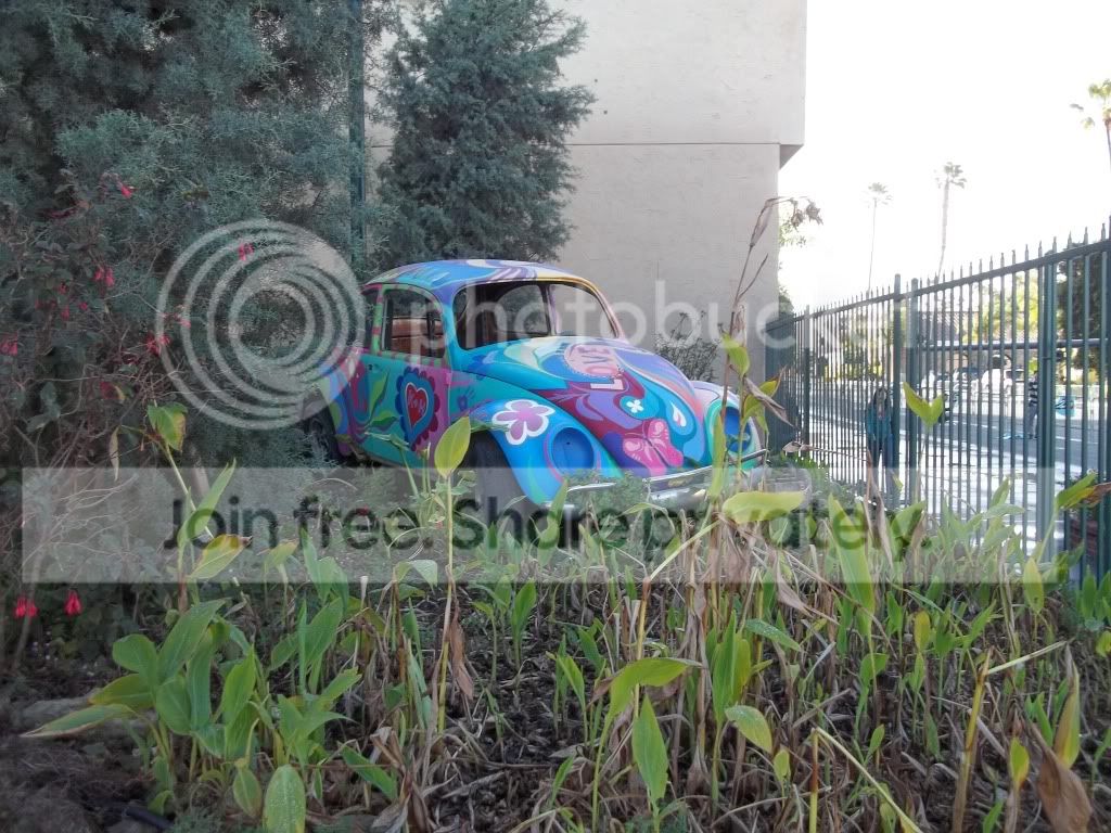 107_0286.jpg