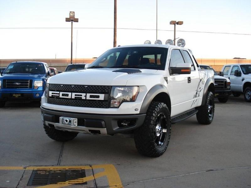 sal-fx4-albums-white-raptor-picture49650-dsc03483.jpg