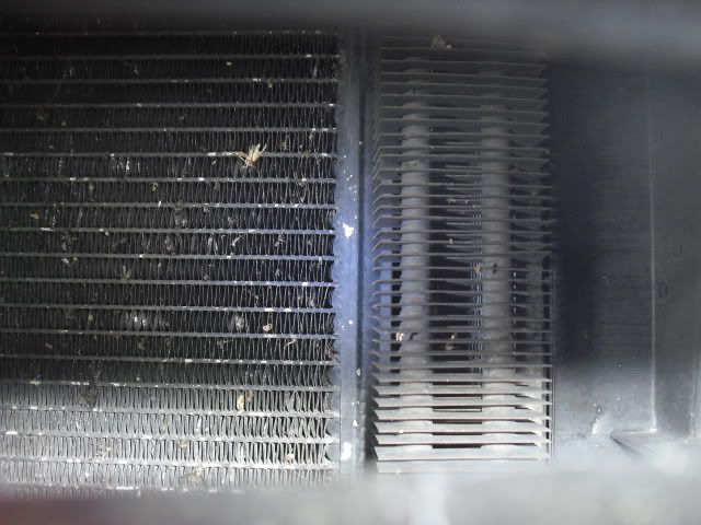 Projects014.jpg