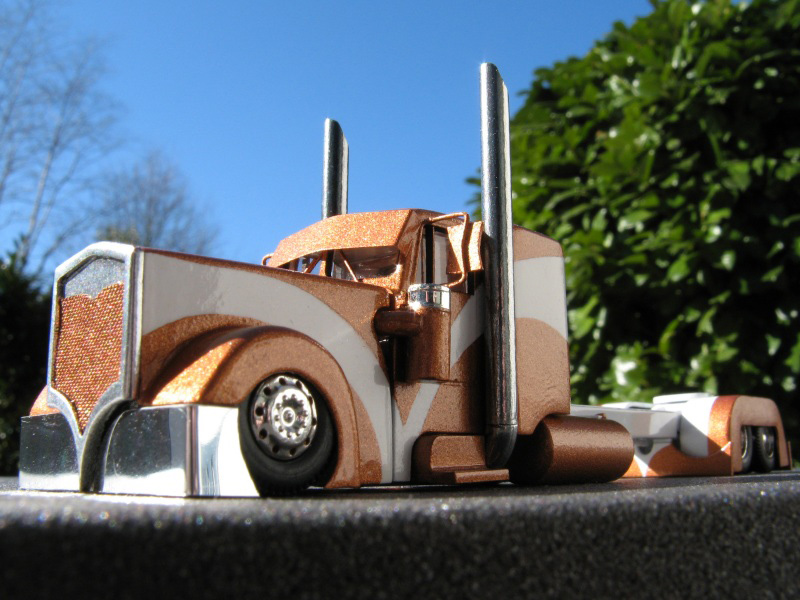 w900_custom_bronze_lf_lg.jpg