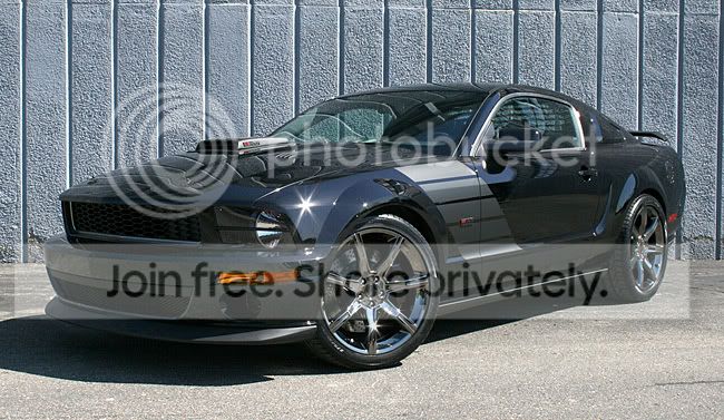 DarkHorseSaleenMustang.jpg