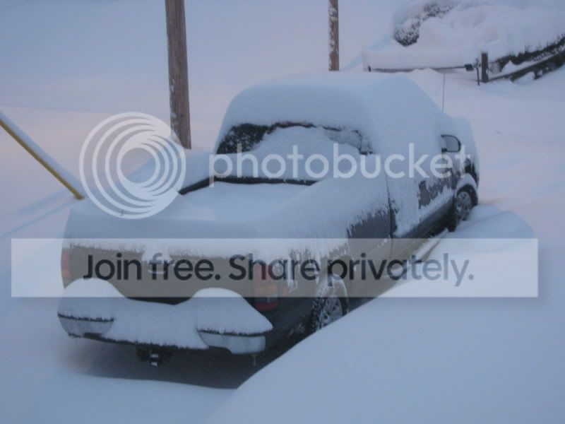 snowfeb006.jpg