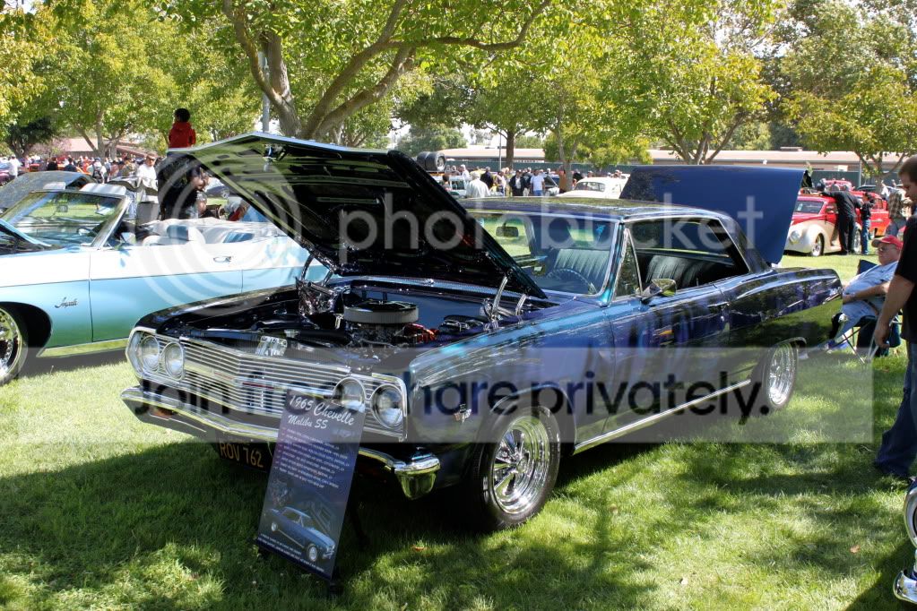 IMG_6806.jpg