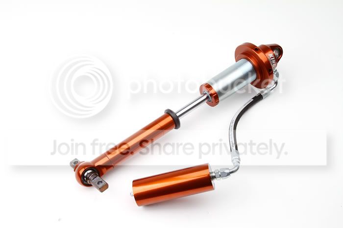 King_Shocks_IMG_4330.jpg