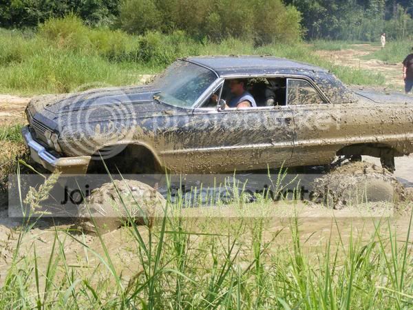 randyimpala2.jpg