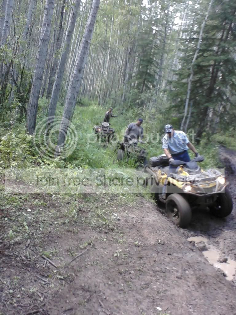 p_00593.jpg