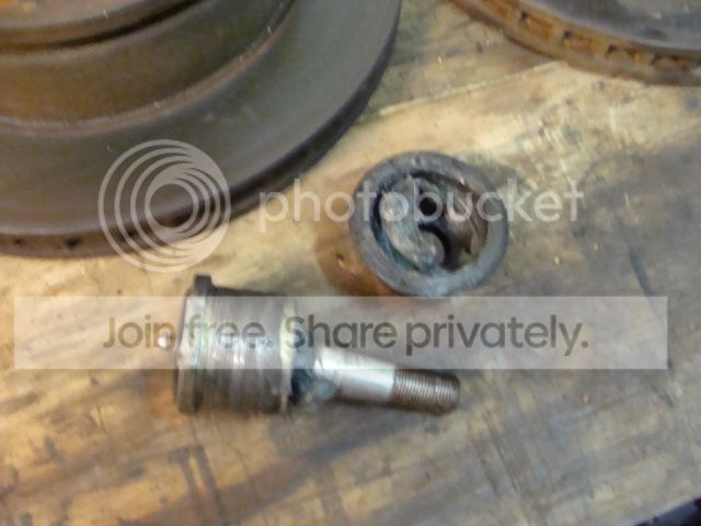 DSC08242_zps738d54ef.jpg