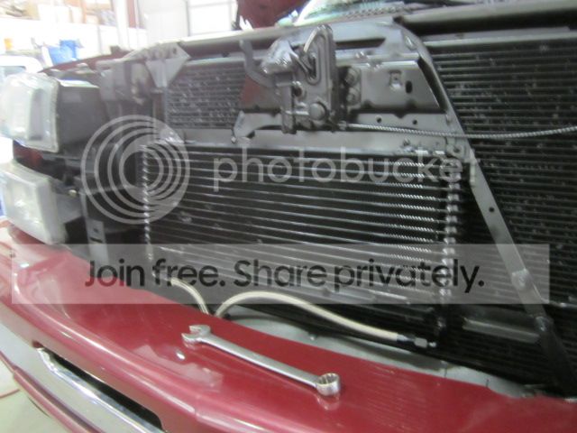 IMG_1653-Copy.jpg